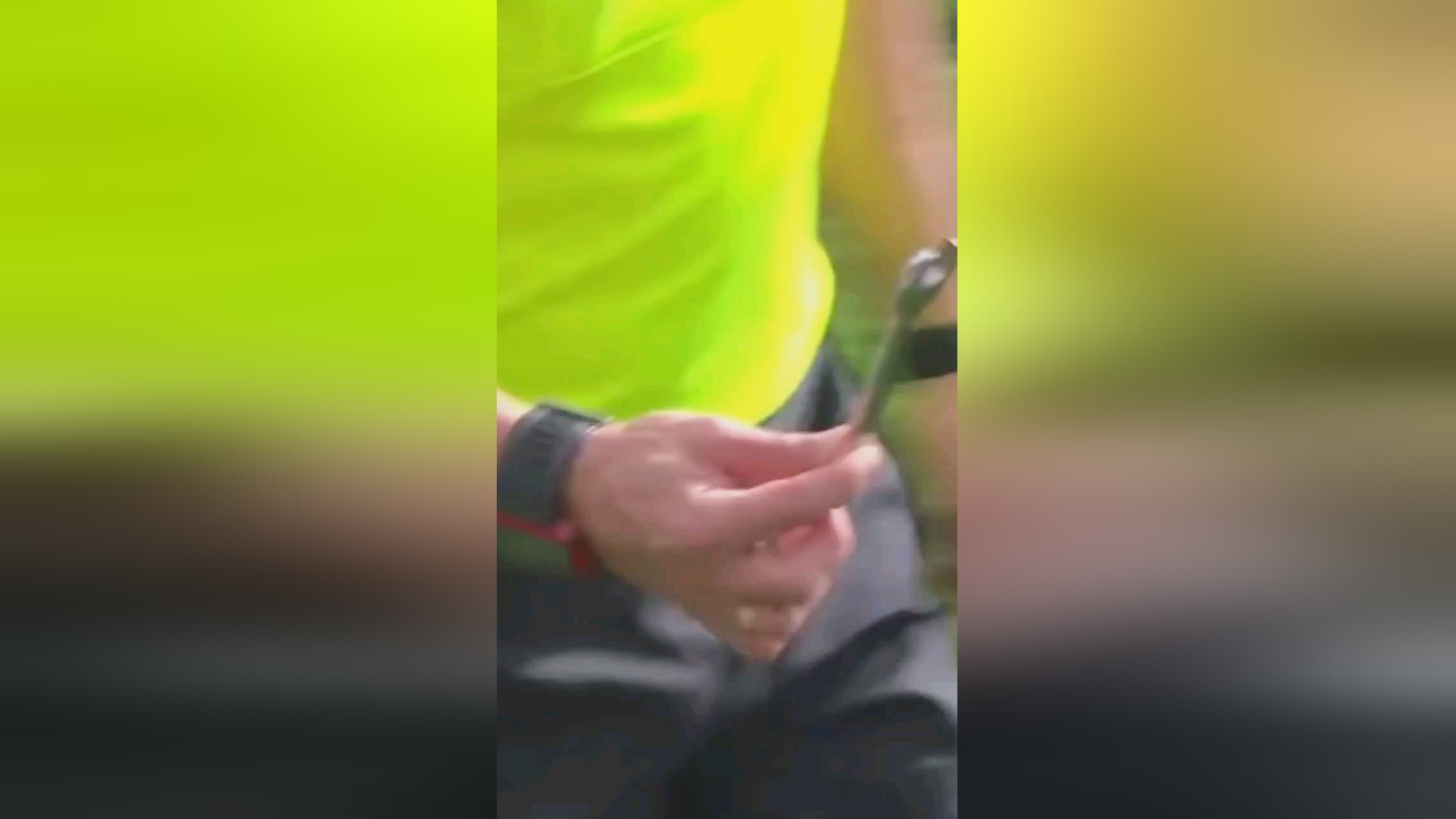 稳步发